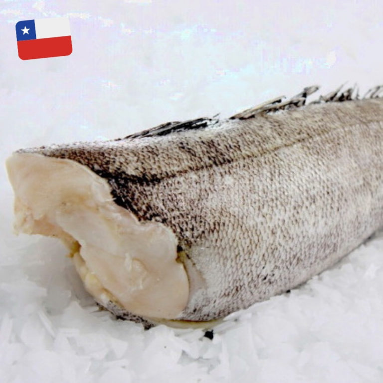 Patagonian Toothfish / Chilean Seabass Ifish