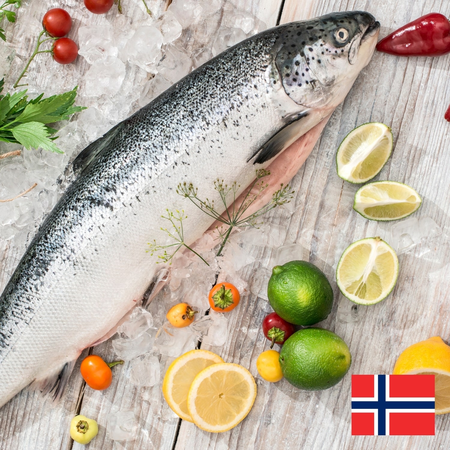 Norwegian Farmed Atlantic Salmon Ifish Hong Kong