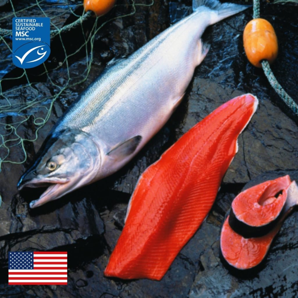 Chilean Farmed Atlantic Salmon Ifish