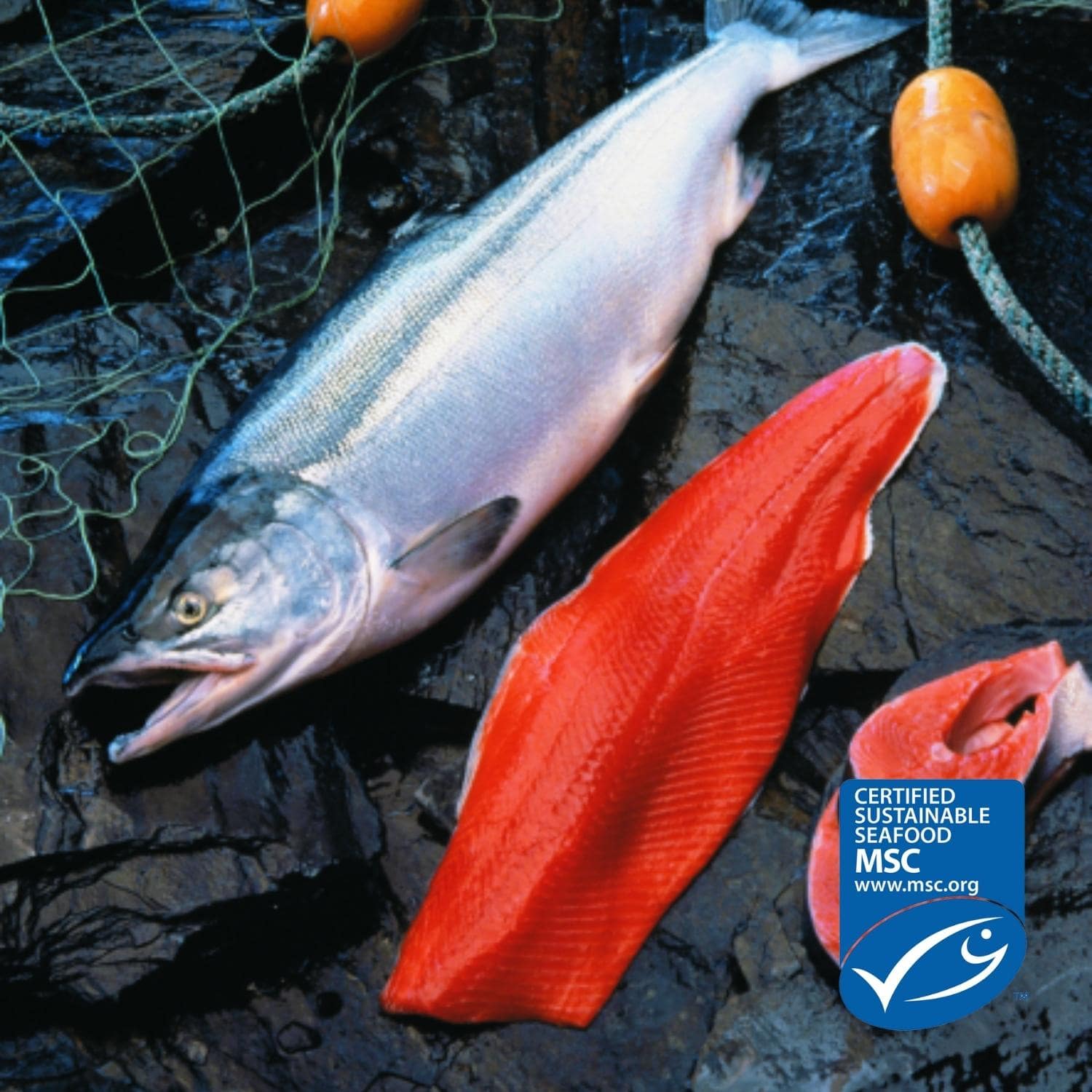 Alaskan Wild Caught Salmon – Ifish Hong Kong