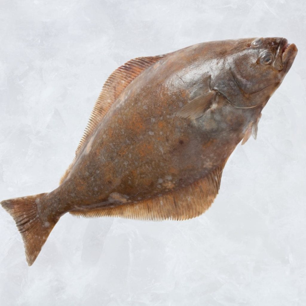 Greenland Halibut HGT Ifish Hong Kong