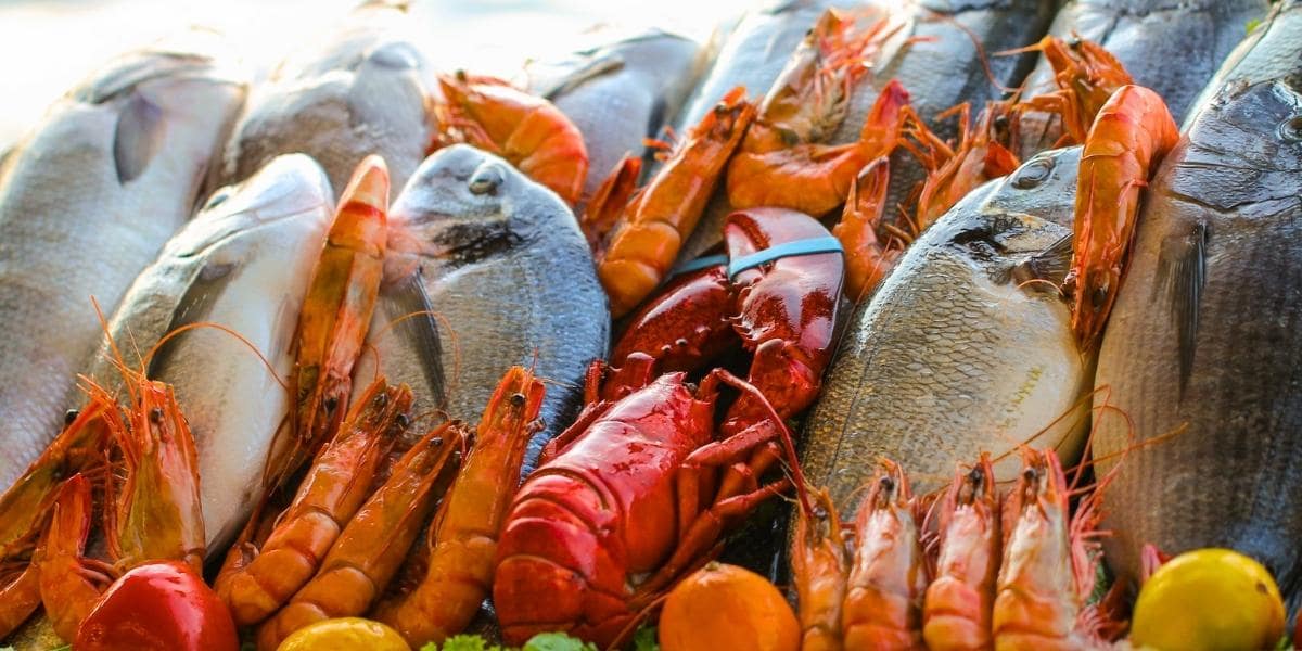 Top 10 Healthy Fish And Seafood To Eat – Ifish Hong Kong