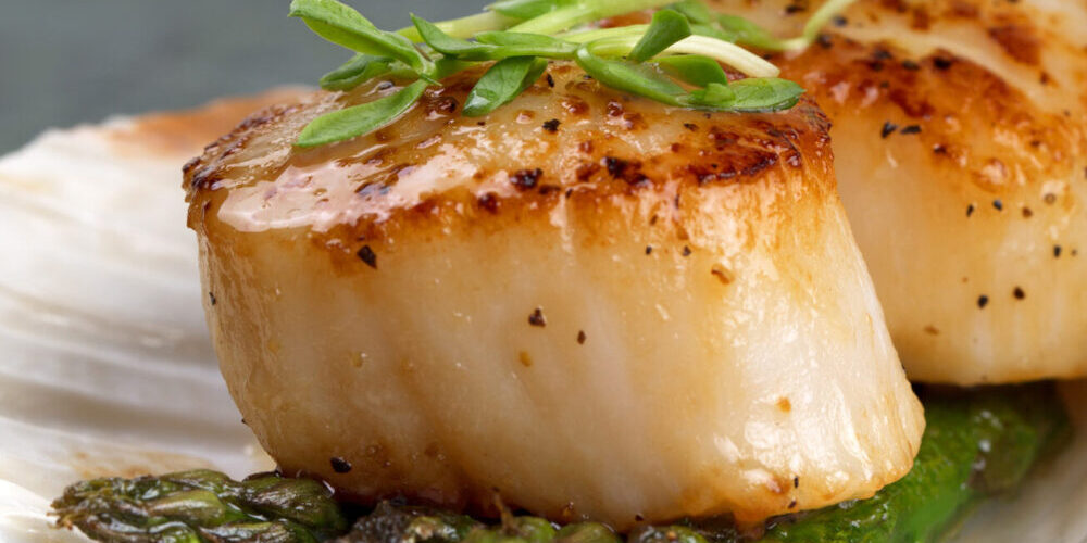 dreamstime30965724scallop