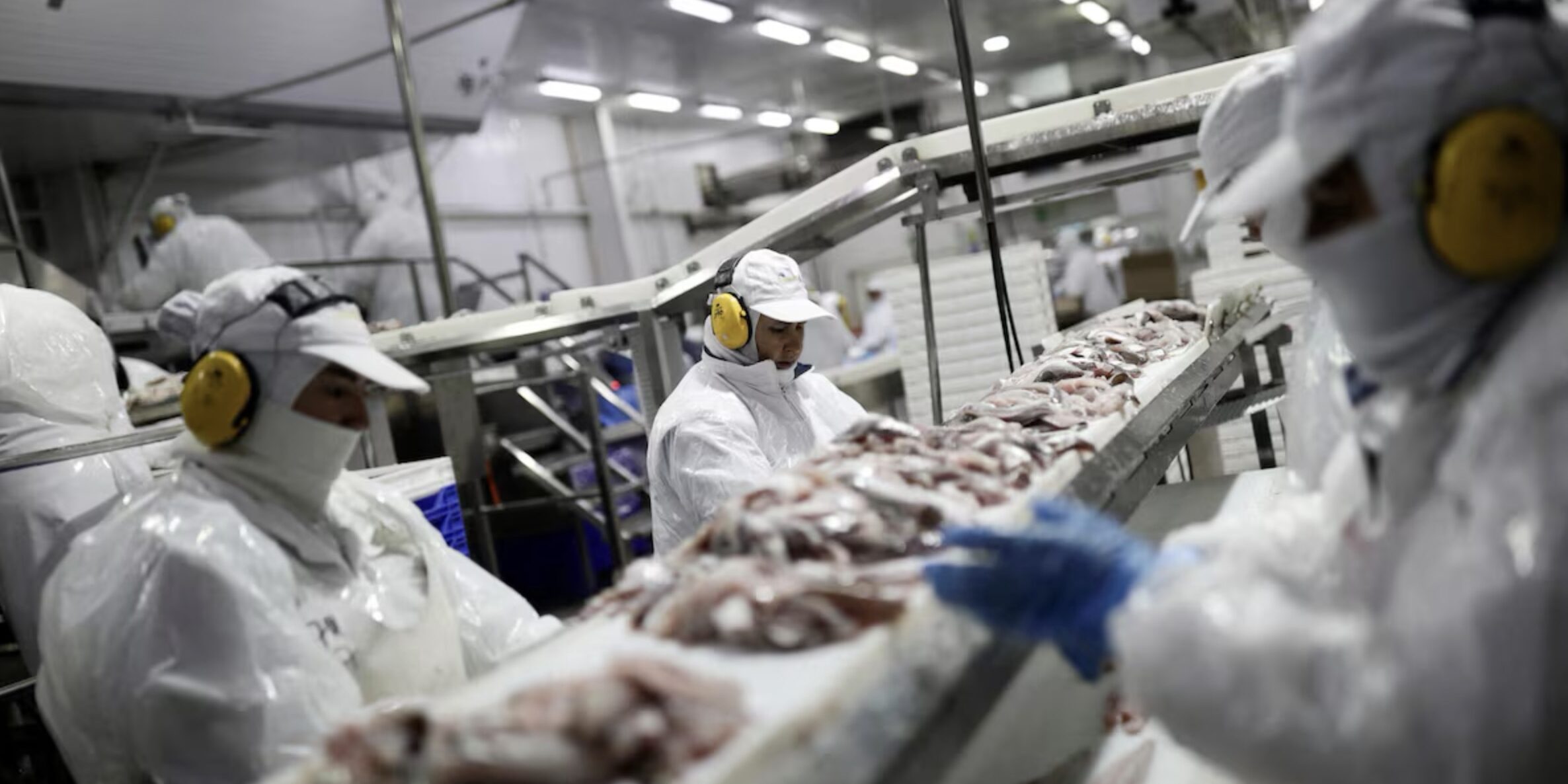 Reuters tariff drive up seafood prices