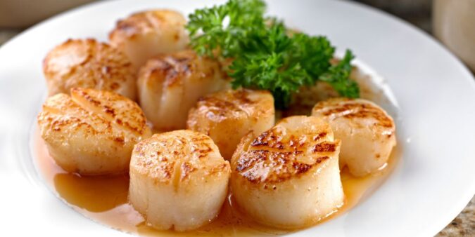 20260128 Scallop Blog by Ifish